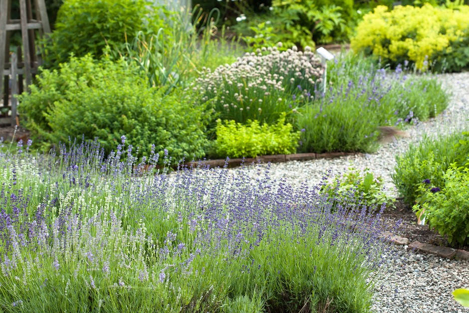 2048x1365 SEO Create Herb Garden GettyImages 157110247 E68c9b3